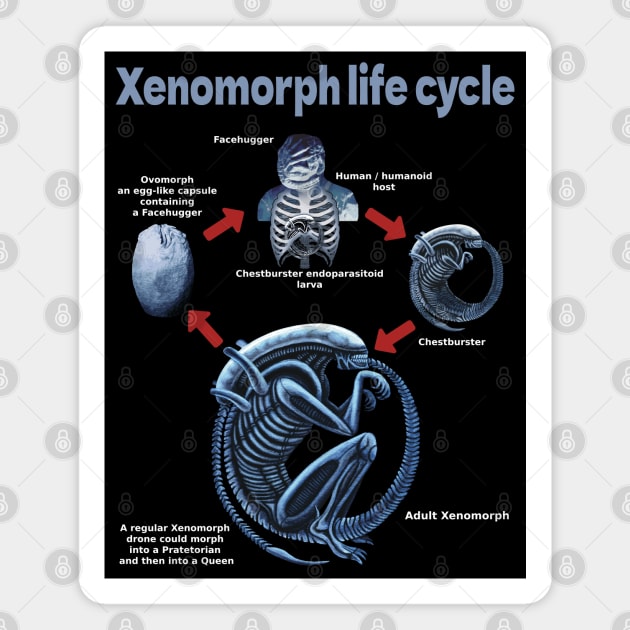 Xenomorph life cycle Magnet by SPACE ART & NATURE SHIRTS 